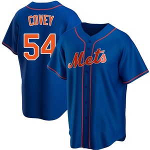 Youth Dylan Covey New York Mets Replica Royal Alternate Jersey