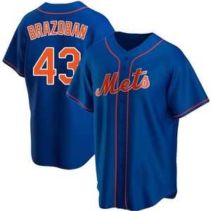 Youth Huascar Brazoban New York Mets Replica Royal Alternate Jersey